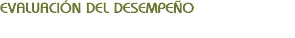 EVALUACIÓN DEL DESEMPEÑO
